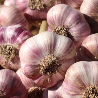 aglio rosso di nubia