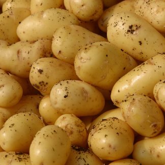 patate novelle