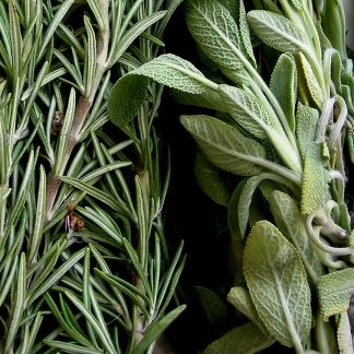 salvia e rosmarino